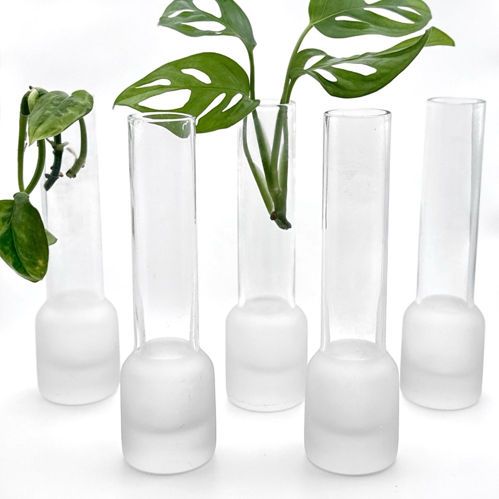Small Clear Glass Tube Plant Propagation Vase Chunky Base Frosted Glass Bud Vase - Picture 1 of 10